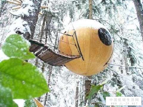 奇特的绿色环保房屋
