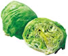 生菜(西洋菜)